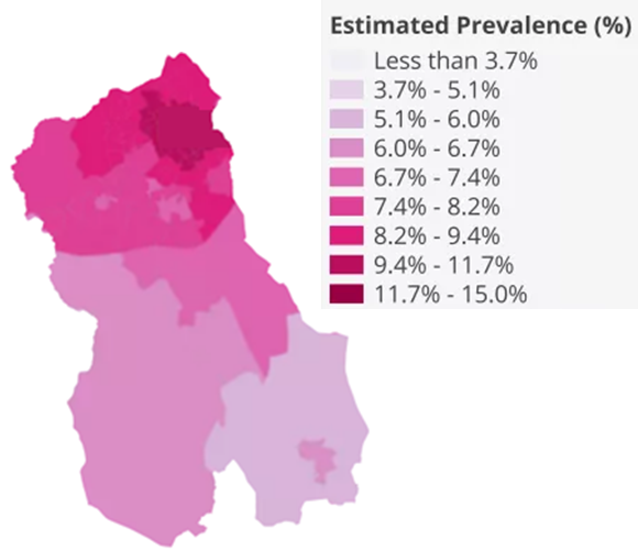 Approximate distribution of diagnosed diabetesfor Lower Super Output Areas in Blackburn with Darwen(as estimated by House of Commons Library5)