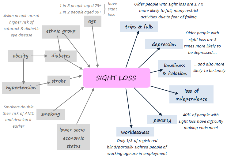 Sight loss: risk factors and impacts(144–148)